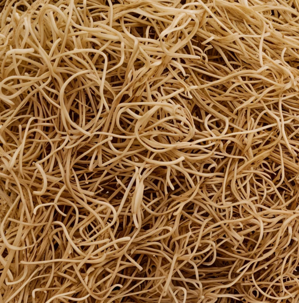 PEARL MILLET VERMICELLI